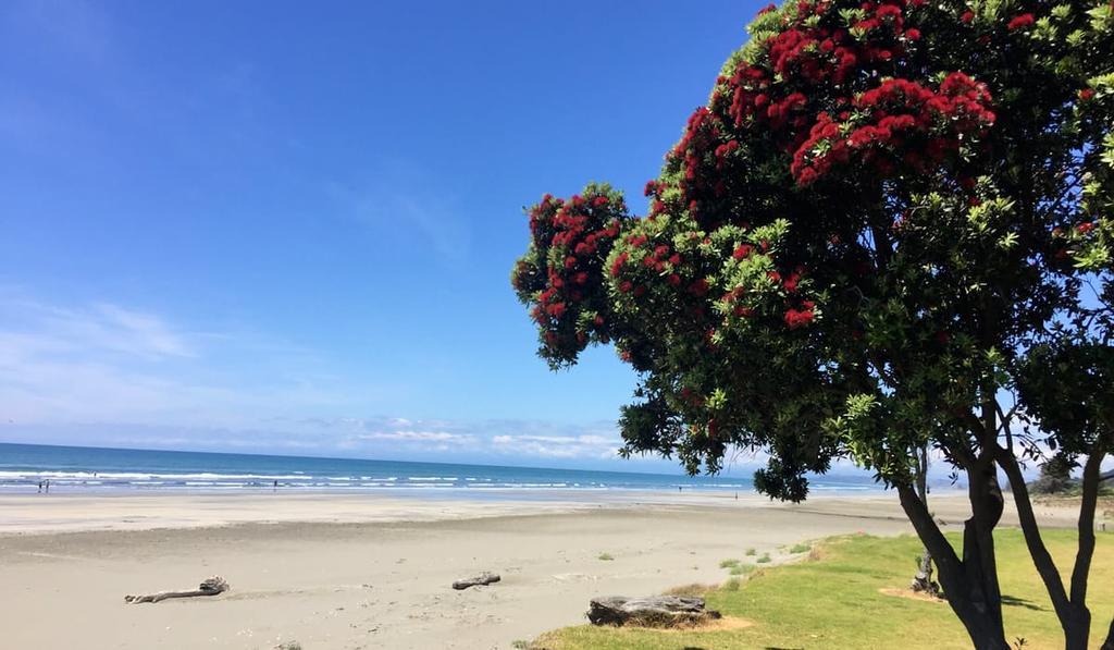 Whakatane Hotel Luaran gambar